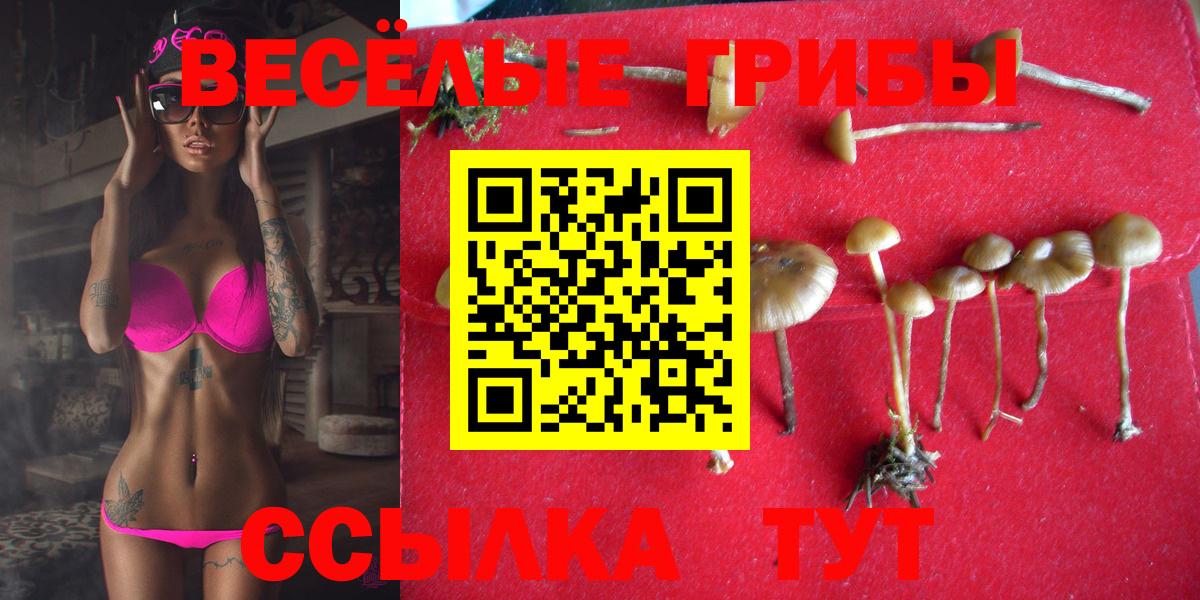 Галлюциногенные грибы мицелий Чапаевск