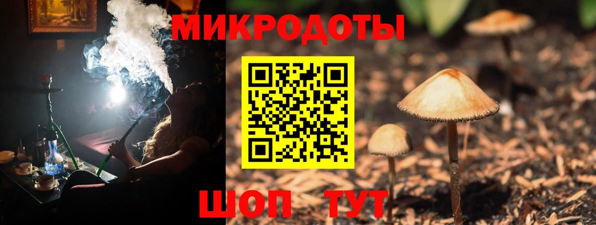Псилоцибиновые грибы Cubensis  купить закладку  Чапаевск  Вход с VPN 